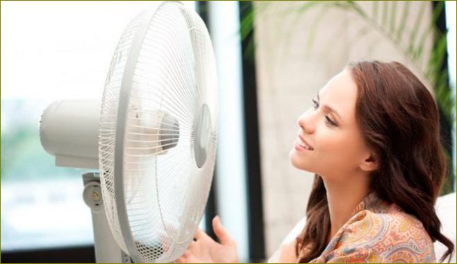 Parimad ventilaatorid koduse reitingu jaoks
