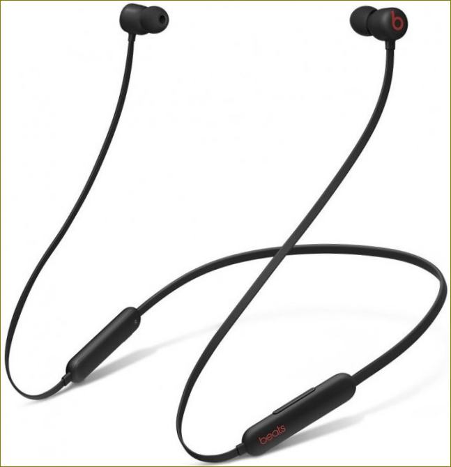 Beats Flex All-Day Wireless pilt